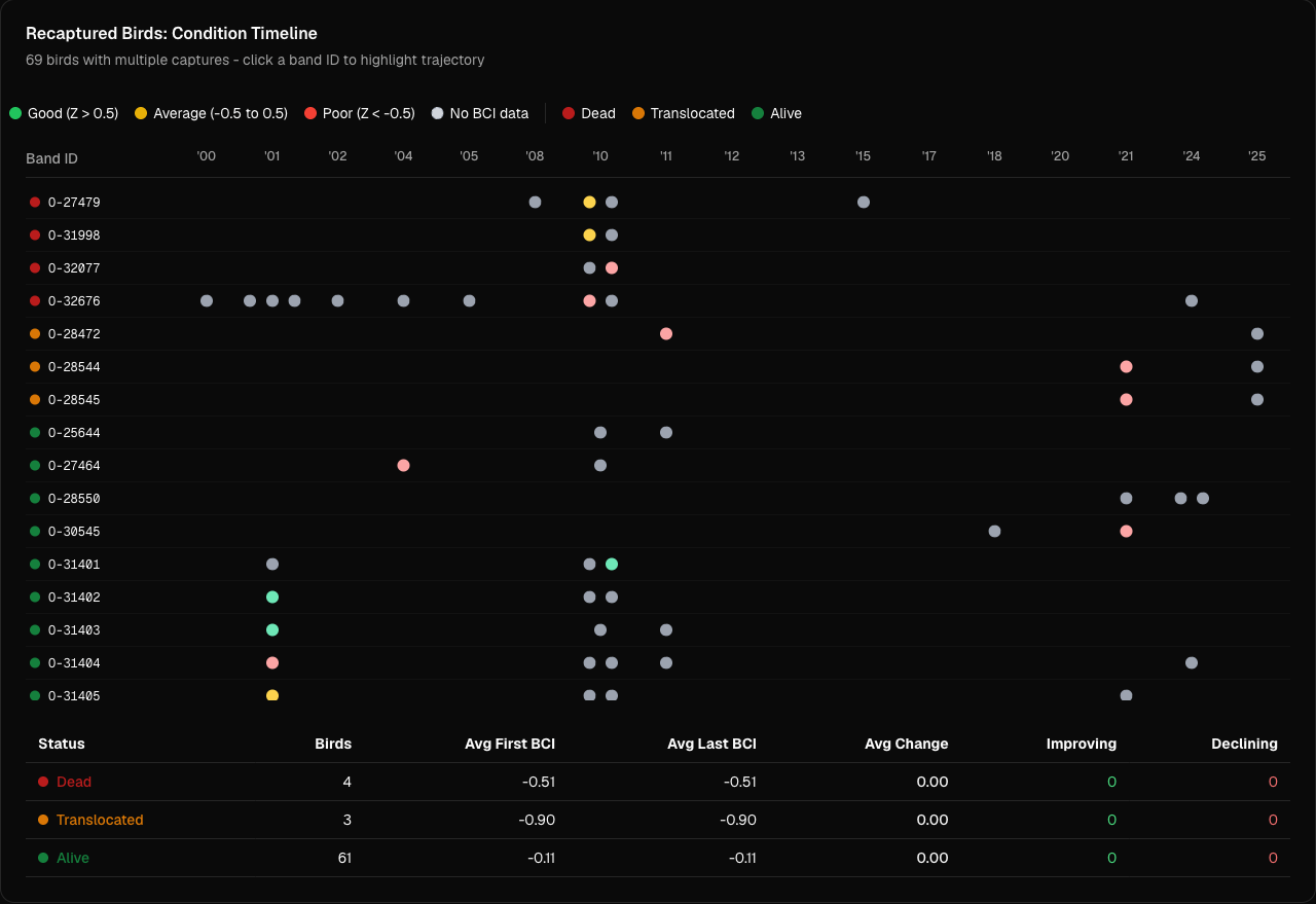 Per-bird recapture timeline